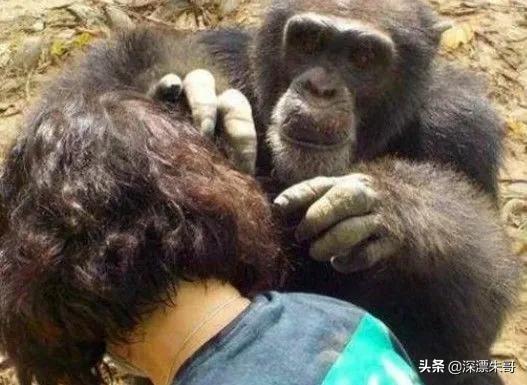 三十年前的虱子为什么消失了,8090年代的虱子是怎么灭绝的