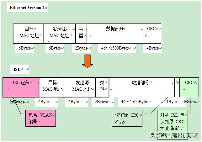 网络vlan基础知识,运用vlan技术建立无线网络的知识
