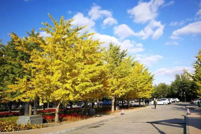 辽宁省普通高等院校,辽宁省沈阳本科大学