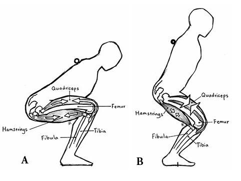 弹跳力不练会退步吗,弹跳力需要天赋吗