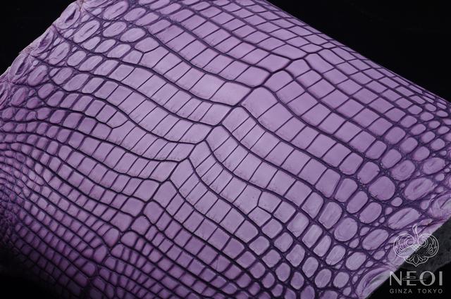 鳄鱼皮包包知识,鳄鱼怎么挑选