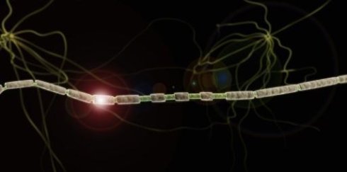 第029篇：生命宇宙的真相（实相）-2