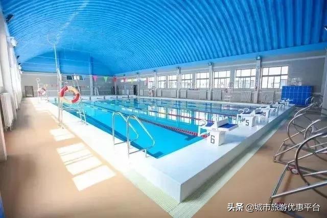 收藏游泳视频下载,冬季游泳大全