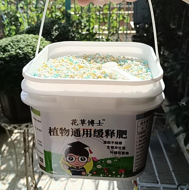 三年前买了套绿地110平三房130万,三年前耗资百万打造小院出售