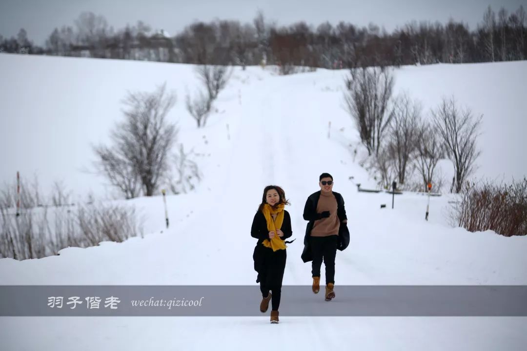 日本10天自由行费用北海道,东京北海道5日自由行攻略