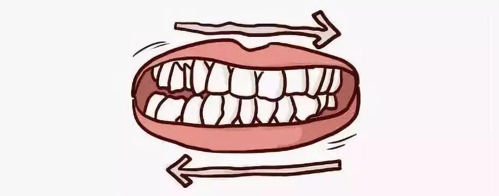 口腔科普磨牙 (口腔科科普之恒磨牙)