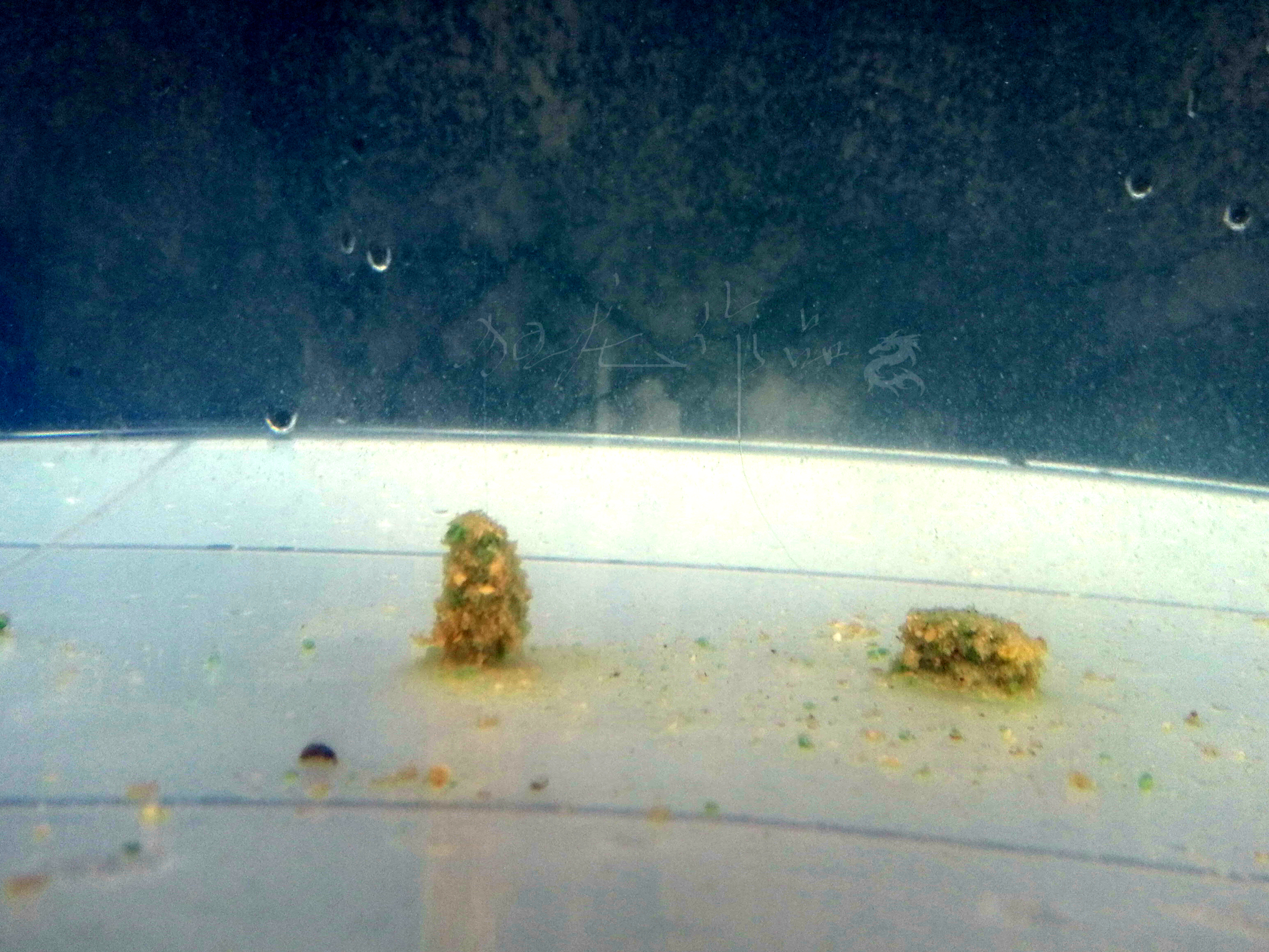 悬浮状态和漂浮状态,悬浮触底躺底三种状态