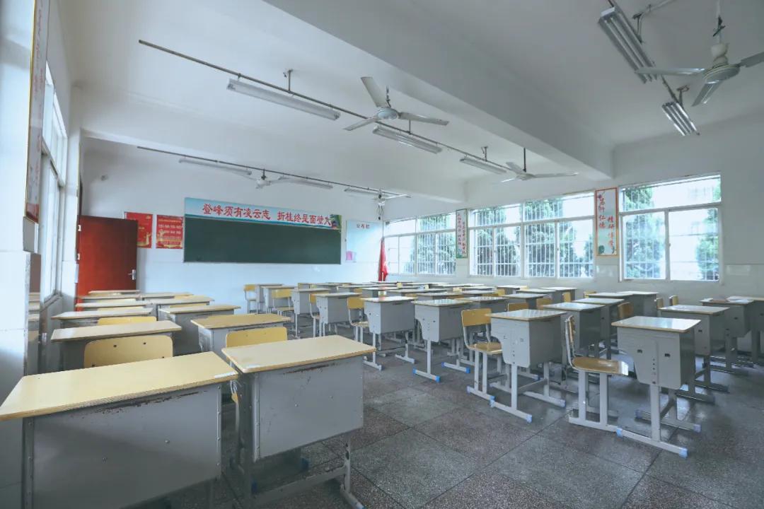 这六个月，仙桃过得怎么样？