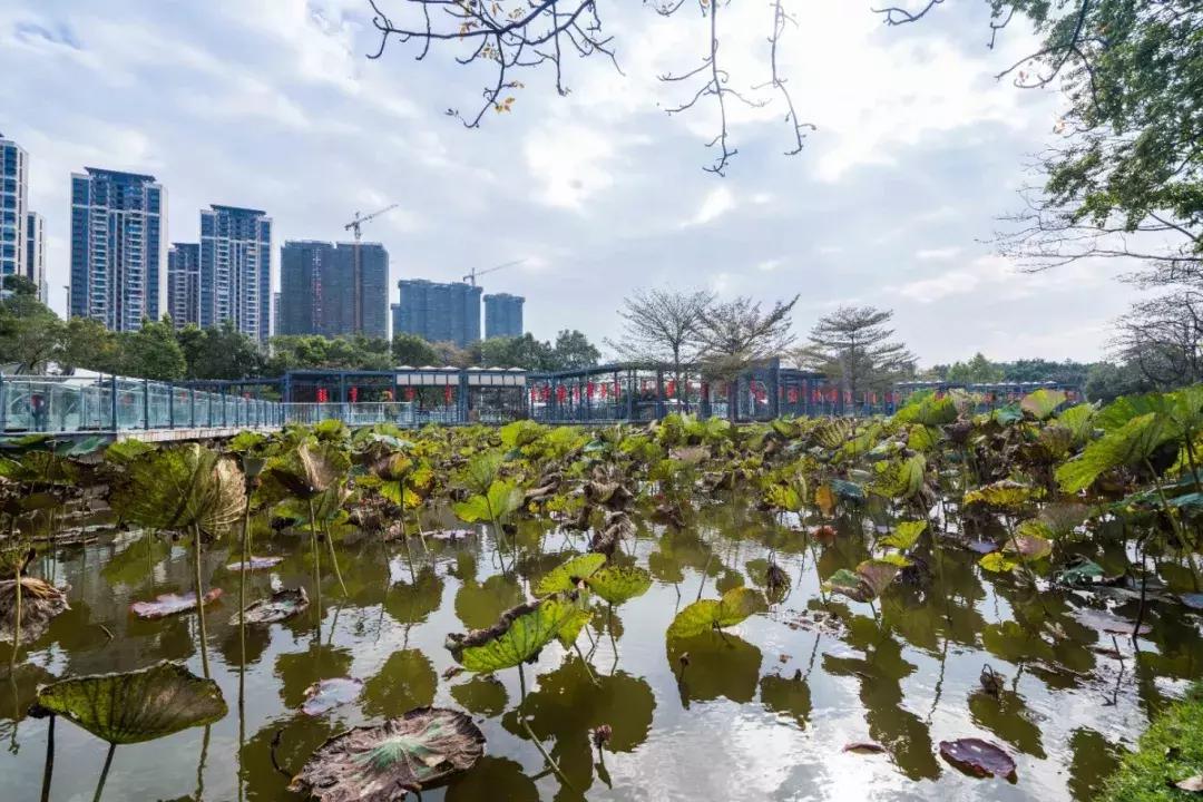 赏花海+机动游戏任玩+VR体验、5D电影等！还有财神爷派利是！