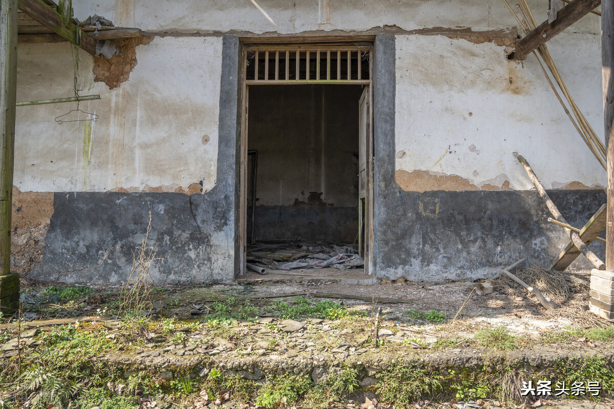 我为什么不吃猪肉,我为什么不吃牛肉