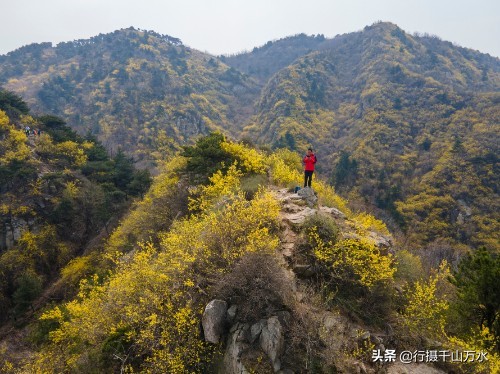 济南徒步爬山推荐免费,济南龙洞徒步登山带你看风景