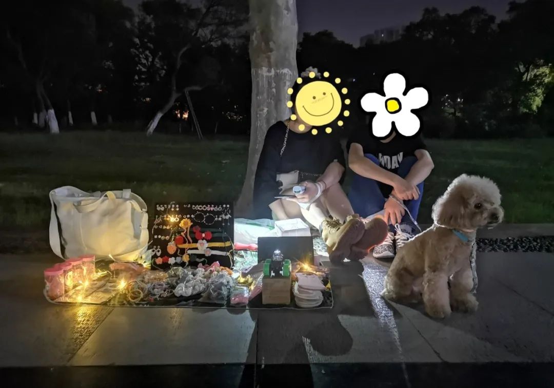 生活不易被迫营业的猫咪,猫咪独自在家铲屎官必做五件事