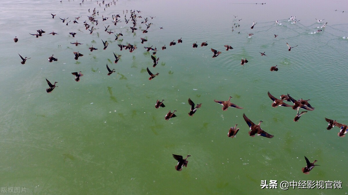 银川属于最适合居住的地方吗,银川西北重要的中心城市