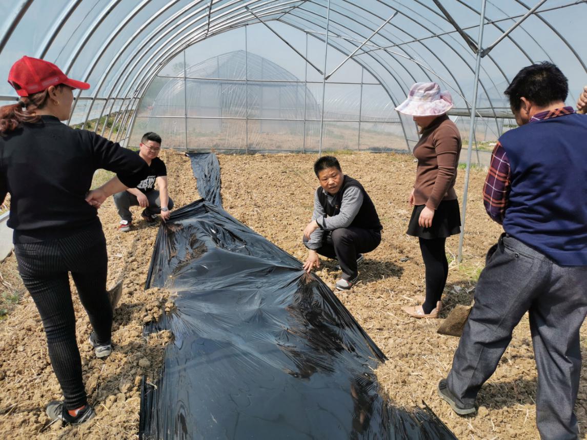 凤阳县小溪河镇金庄村驻村干部,立足支点