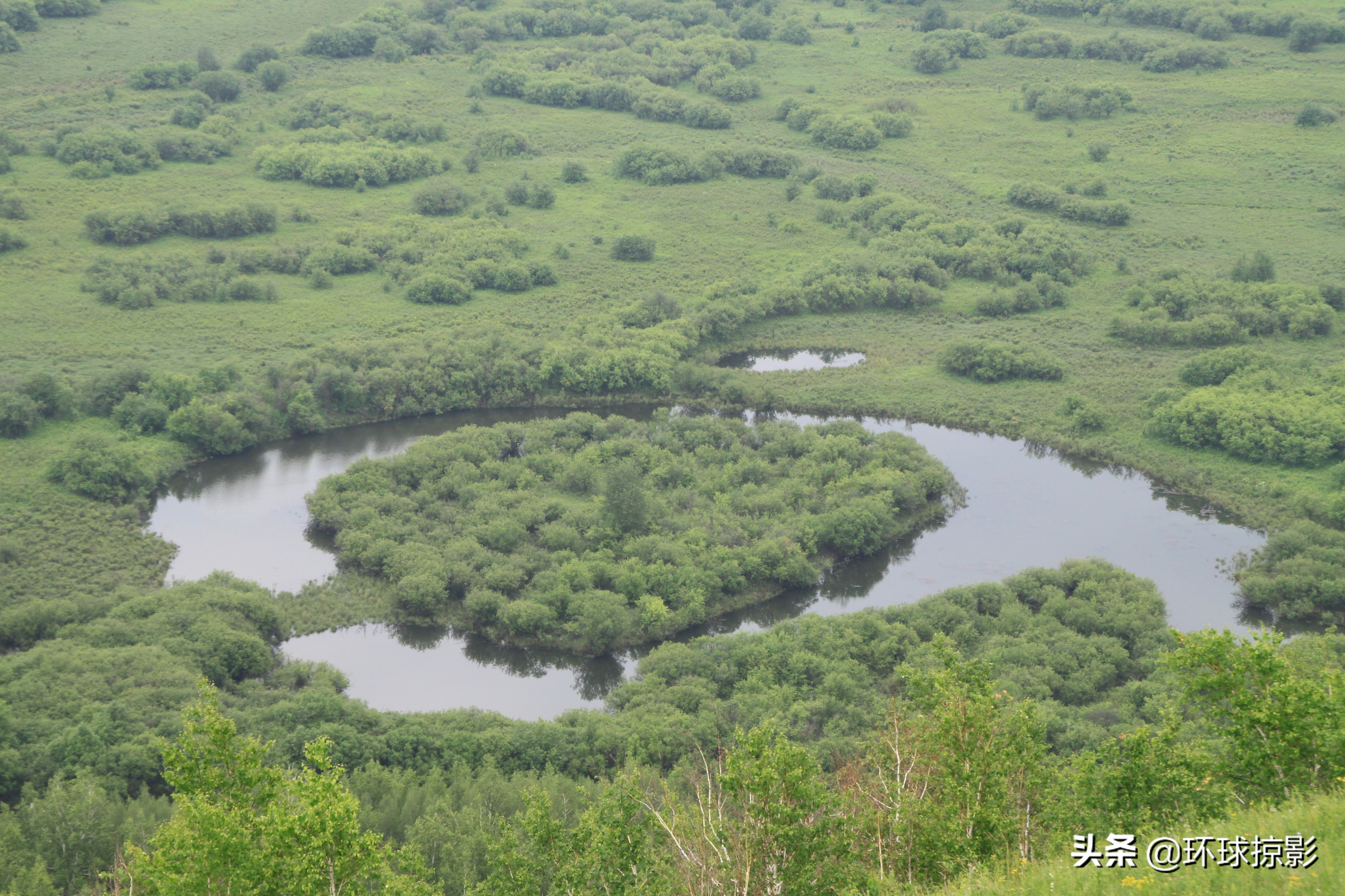8月份漠河,呼伦贝尔8月中旬
