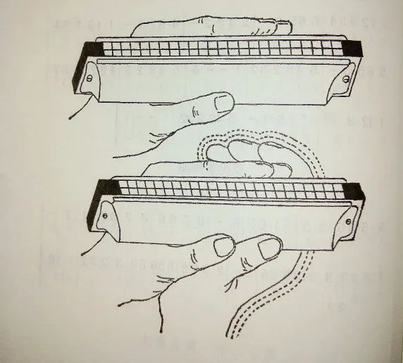 十分钟教你学会家常菜,十分钟教你学会口琴