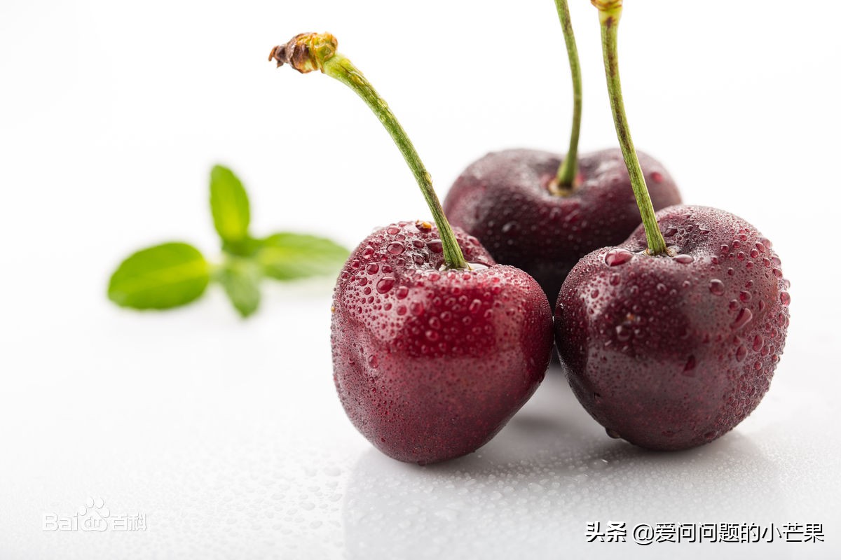 10斤智利车厘子多少钱,智利2j和3j车厘子哪个好