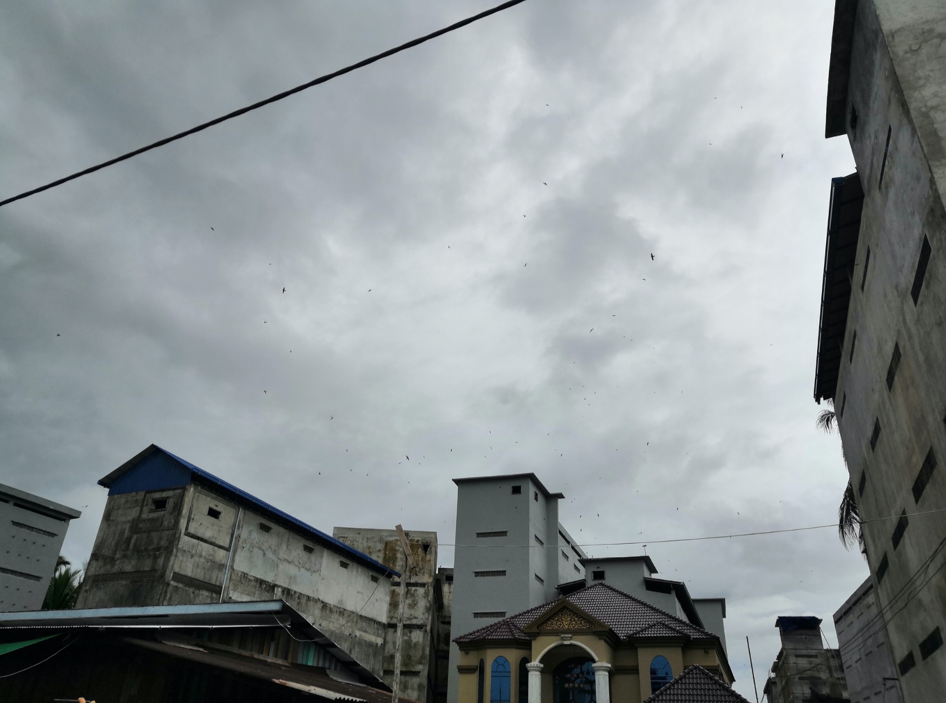老婆怀孕了我在外地没人照顾,老婆怀孕我去外地出差
