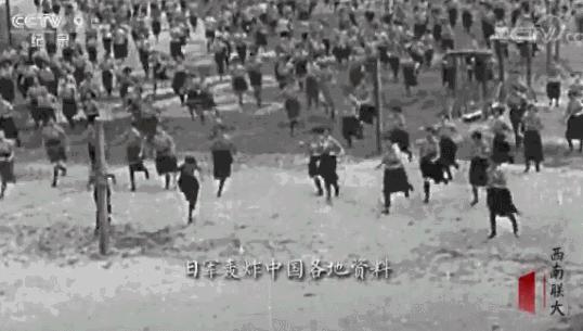 央视又出9.3分神作，读书才是门槛最低的高贵