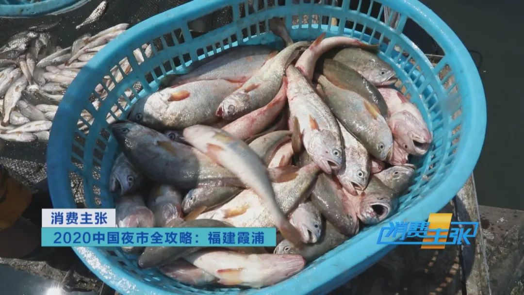 霞浦的海鲜真是便宜又好吃,霞浦真正便宜好吃的海鲜哪里吃