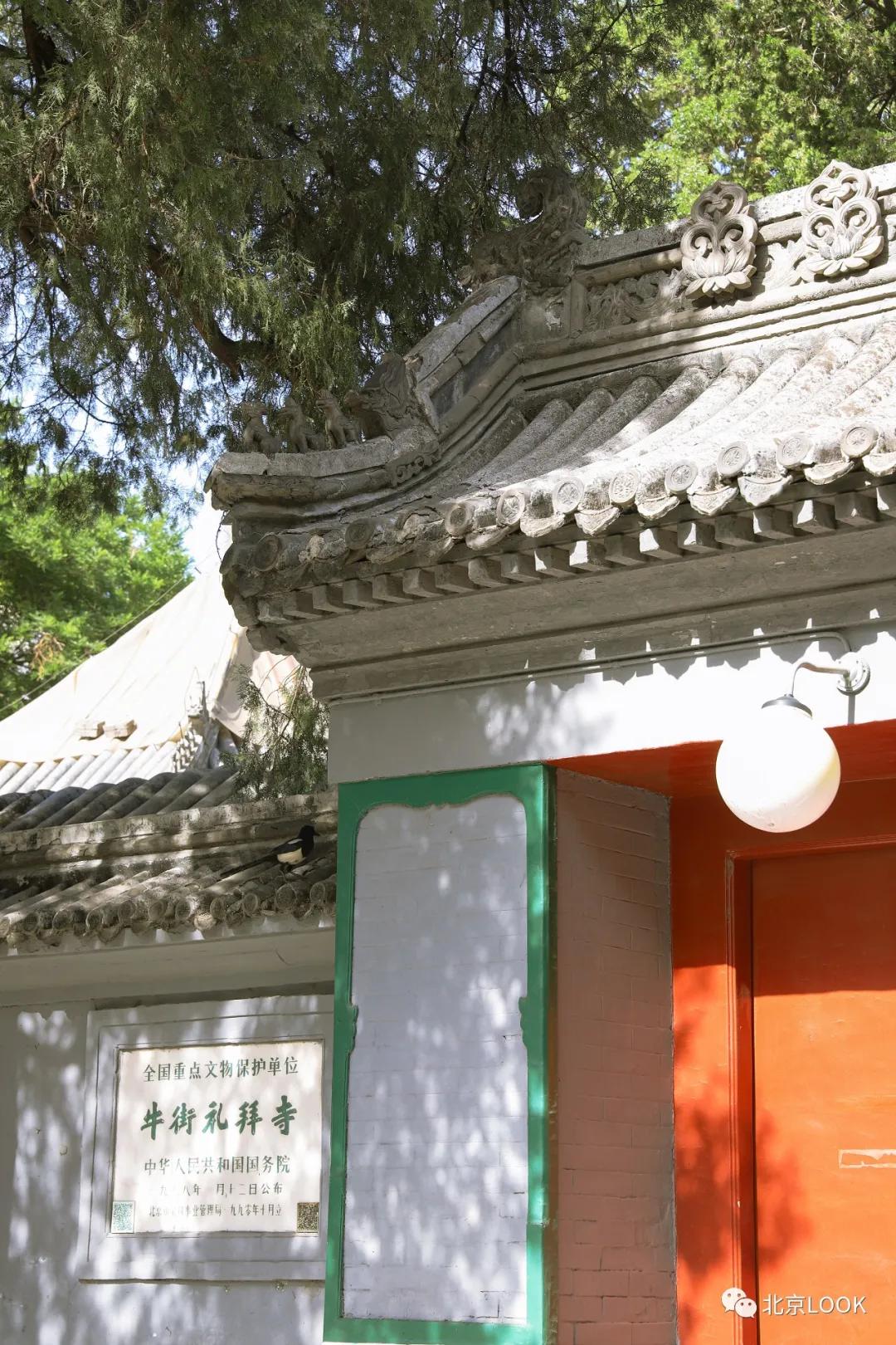 这就是牛完整视频,北京市牛街