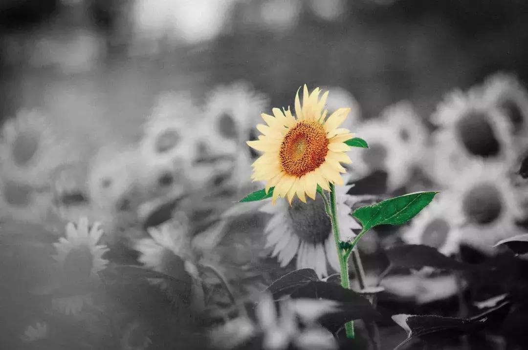 ps复制图层与图层蒙版区别,ps里添加图层蒙版按钮在哪