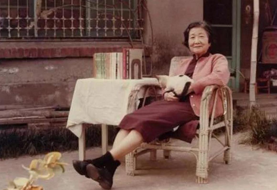 民国第一恶婆婆 (民国恶婆婆和媳妇)