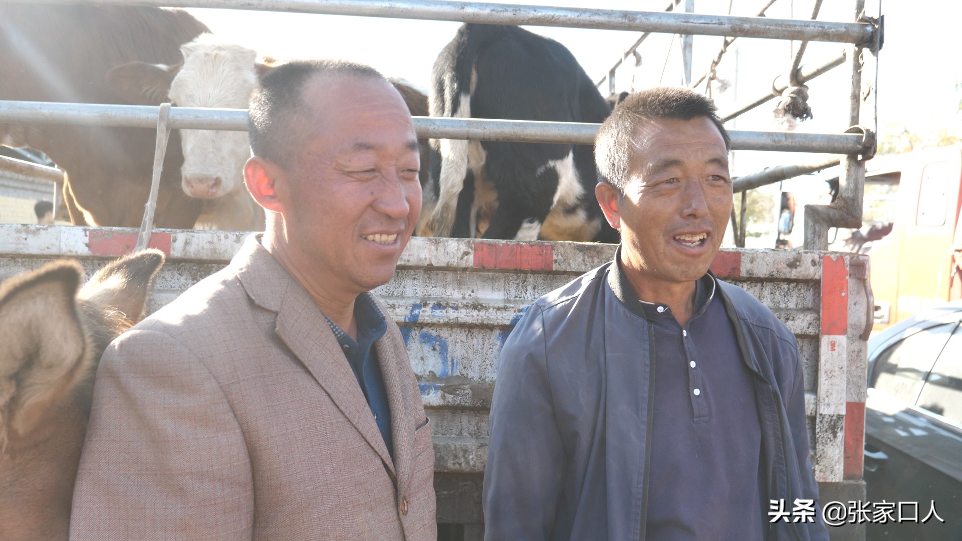 牙纪是古老的行业，在张北牲畜交易中心年轻人都在干，什么原因？