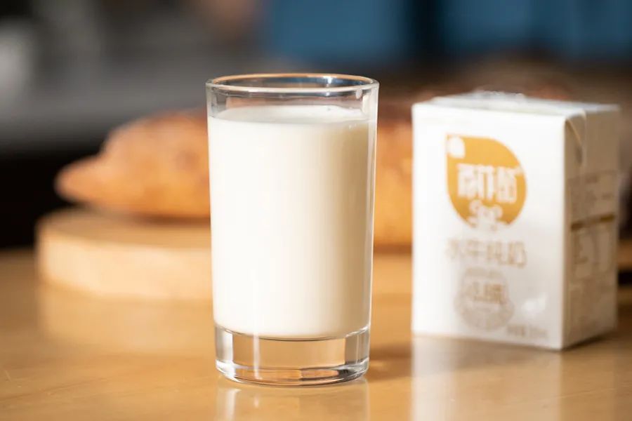 小众牛奶品牌,19年小众牛奶