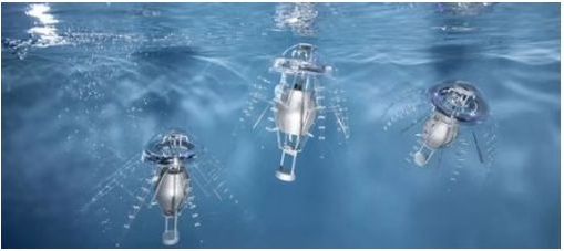 探馆时刻|2019世界机器人博览会新奇特