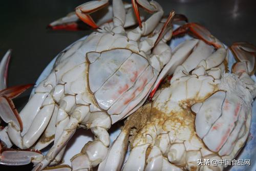 到日照吃海鲜到哪个小渔村最便宜,日照旅游吃海鲜