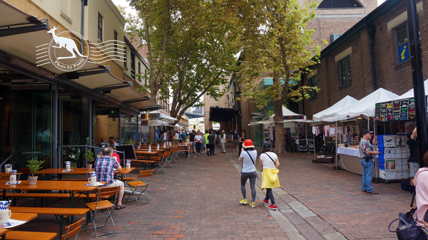去悉尼旅游消费攻略,悉尼旅游美篇