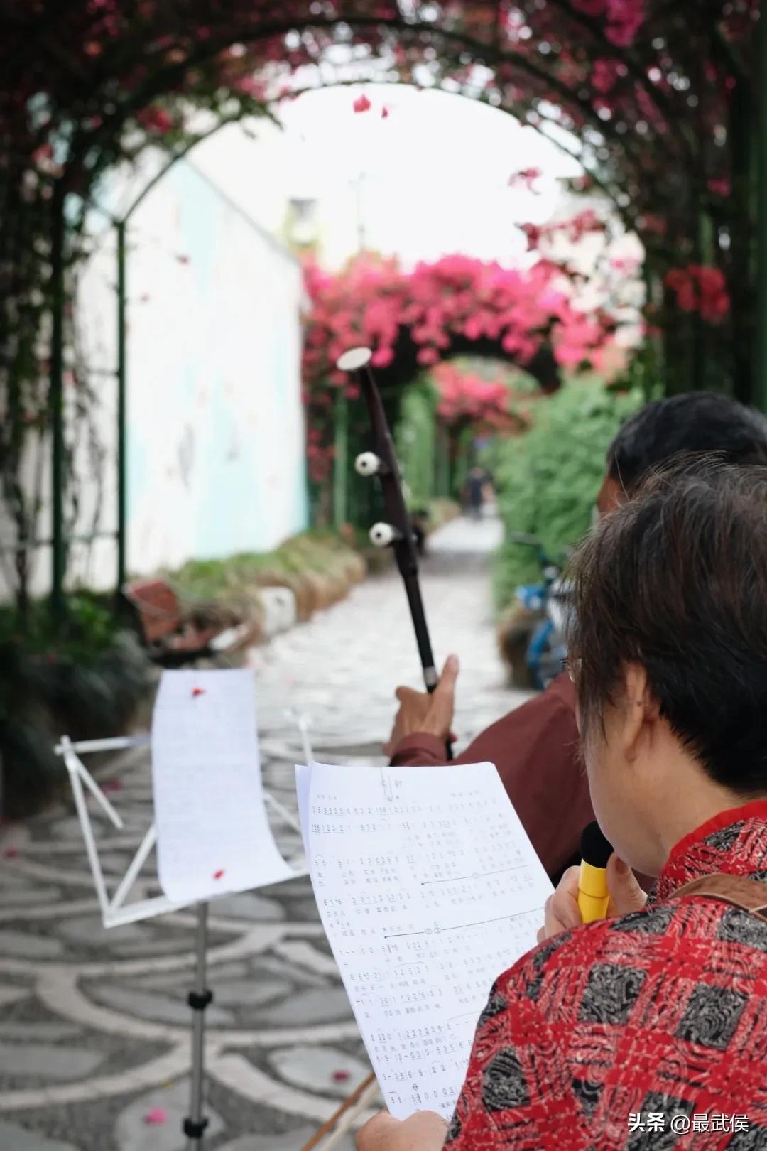 少陵路属于什么街道,三年前少陵路