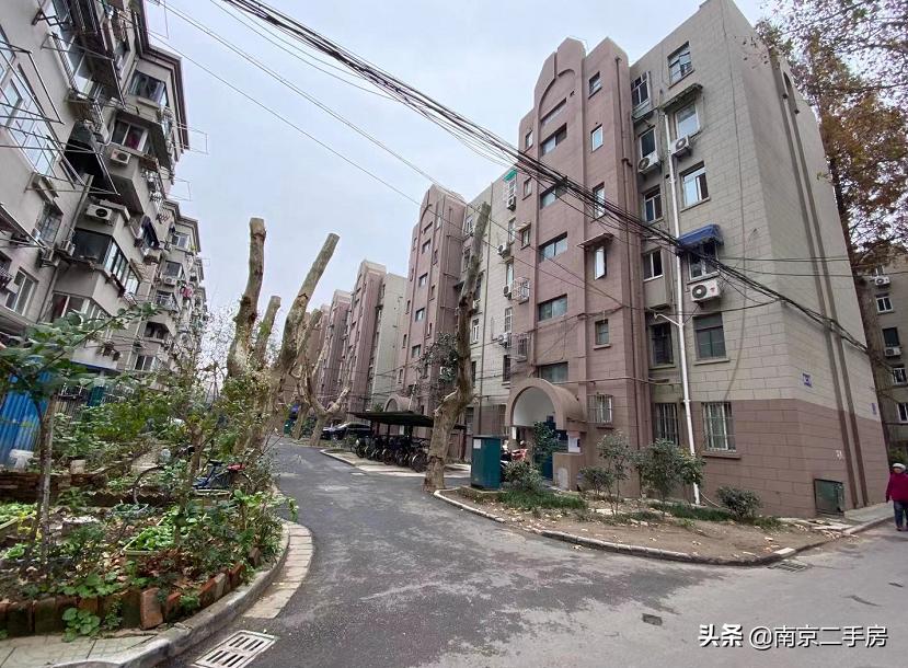环境很好的老小区,环境好老小区