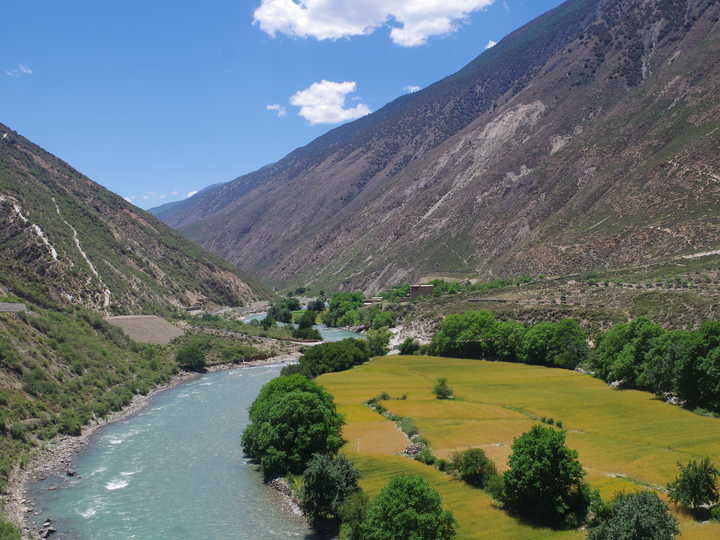 王小花的全部作品,王小花攻略