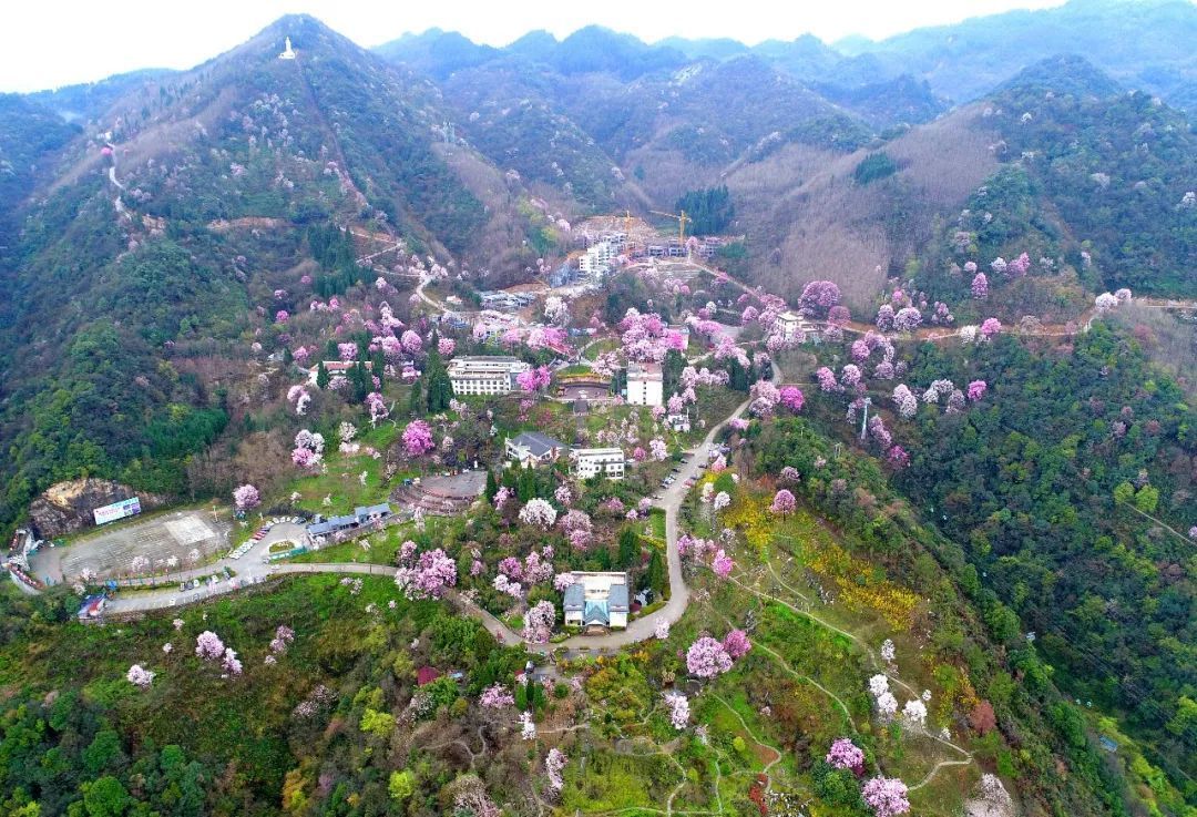 十一年前汶川跳伞,汶川十一年嫁人