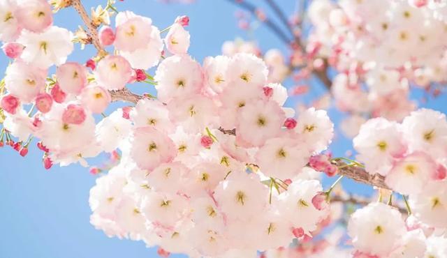 突然就想去旅游了,忽然间就想去厦门了