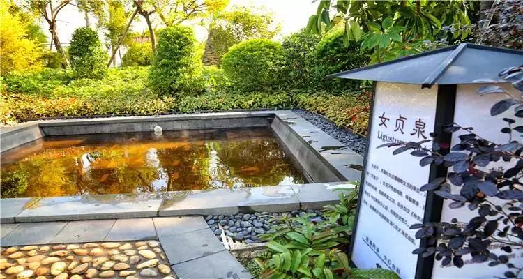 清远温泉夏天,清远最好的三个温泉