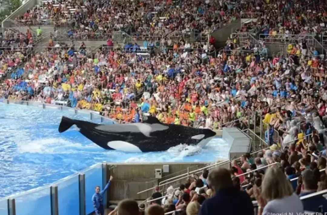 被囚34年取精，被迫亲手杀死爱子，最后只能挣扎着死去……