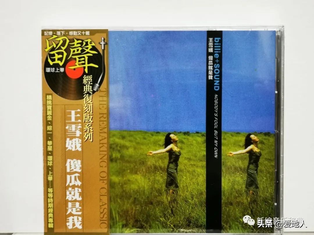 傻瓜就是我王雪娥,王雪娥唱傻瓜就是我