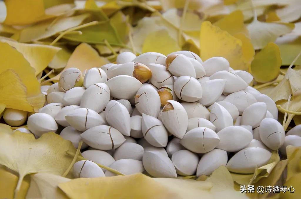 中药是如何伤肝的,中药护肝有用吗