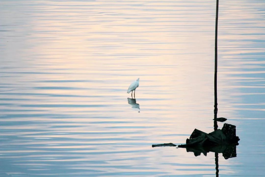 千年经典59首鲜为人知的古诗词,不爱江山爱美人完整版视频