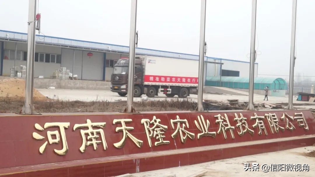 信阳光山蔬菜直通车开进北京城,蔬菜直通车进家门口