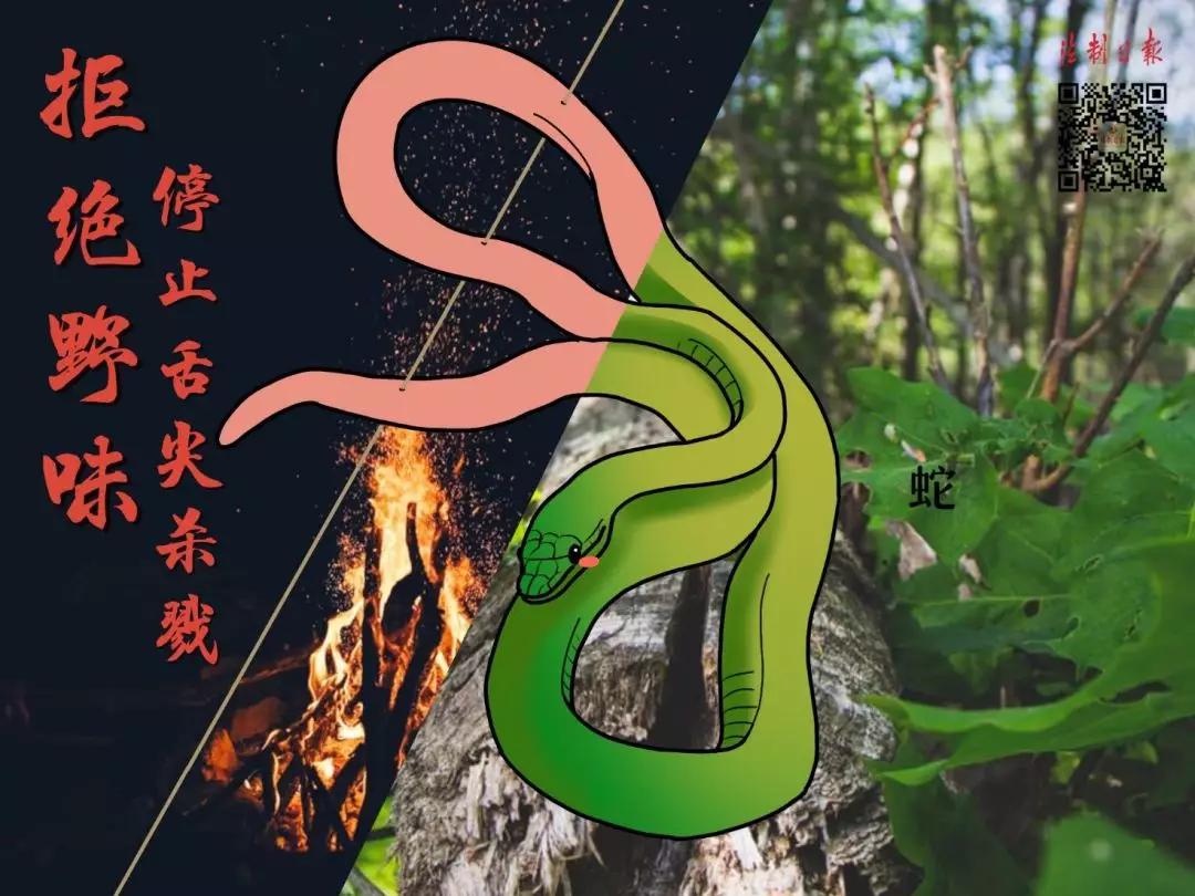 远离野味的漫画,拒绝野味漫画