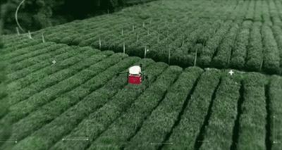 海南自贸港的全景,海南自贸港最新信息乐东