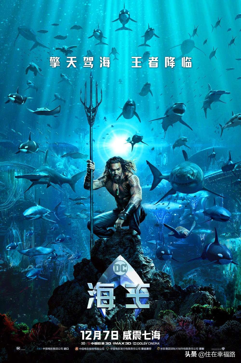 海王教科书视频,海王成长的电影