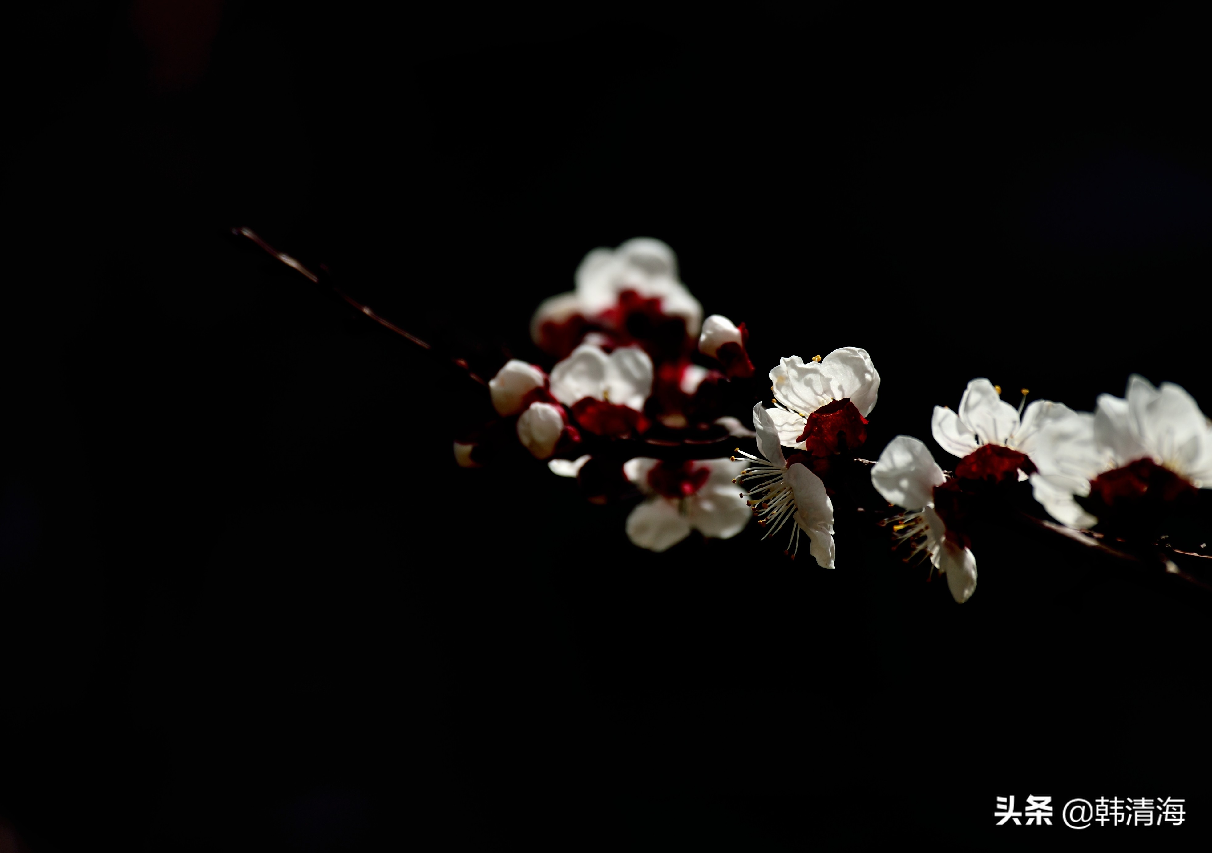 天津市南开区水畔花园简介,天津南开水畔花园洋房