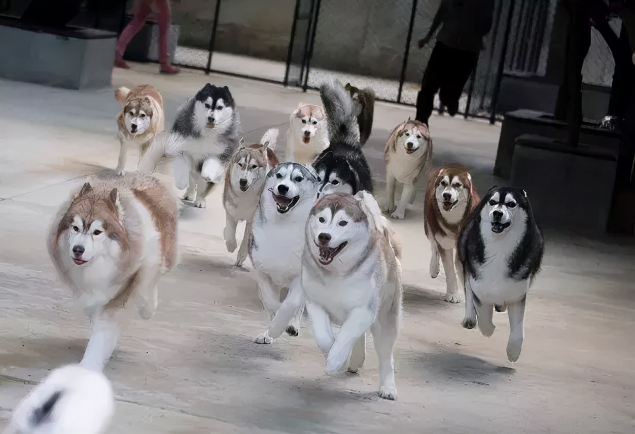 抖音热大批游客挤爆泰国一景点,泰国抖音十大网红景点