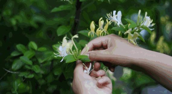 警惕这种病进入高发专家紧急提醒,这些病一定要重视起来别不当回事