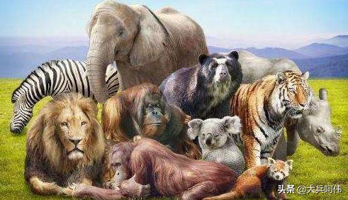 未来十年最好的能赚钱行业,必看2021年最赚钱的五大行业